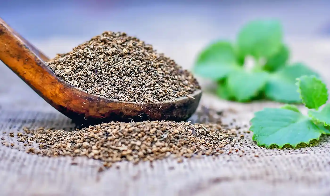 Ajwain/Carom Seeds