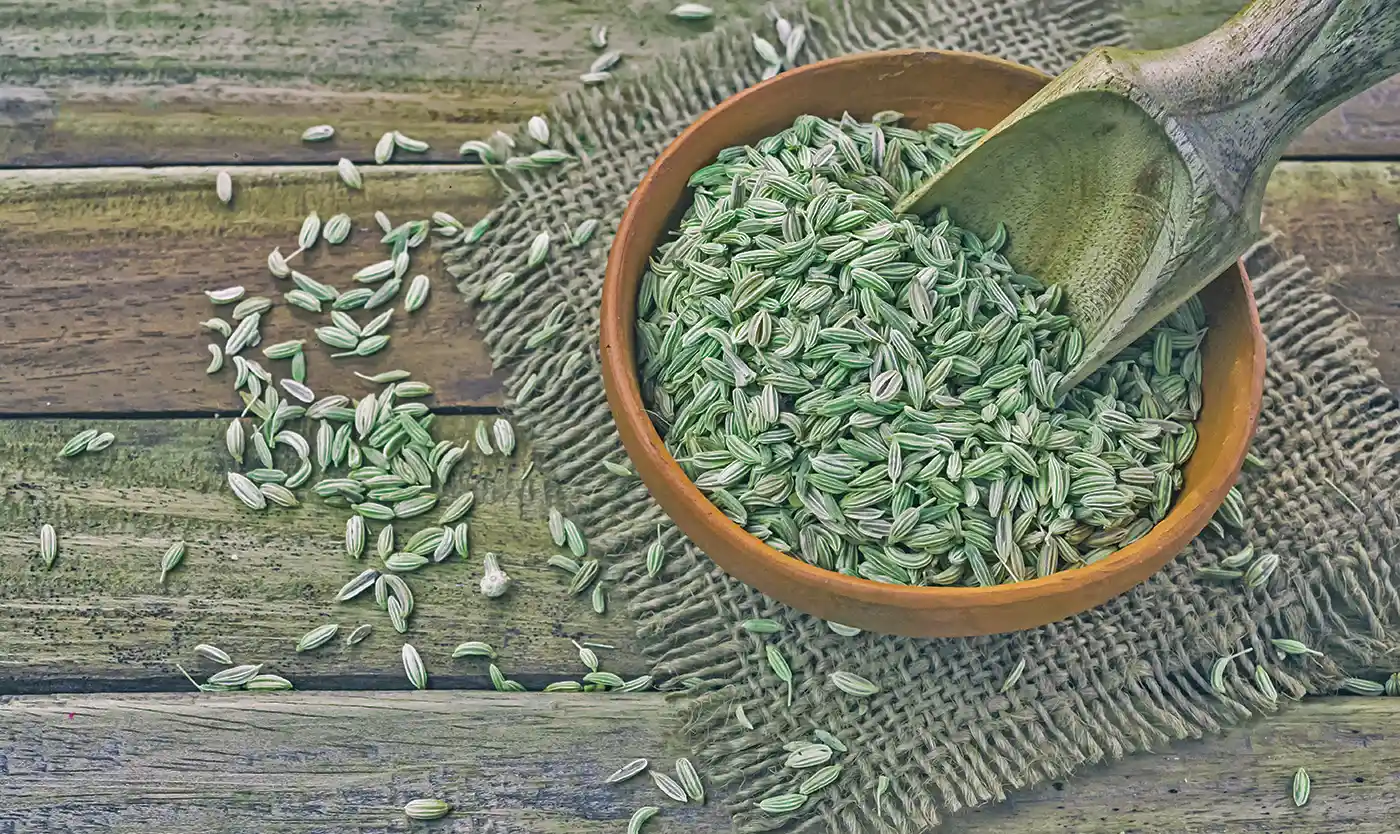 Saunf/Fennel